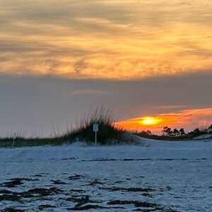 Meet your Posher, Marla